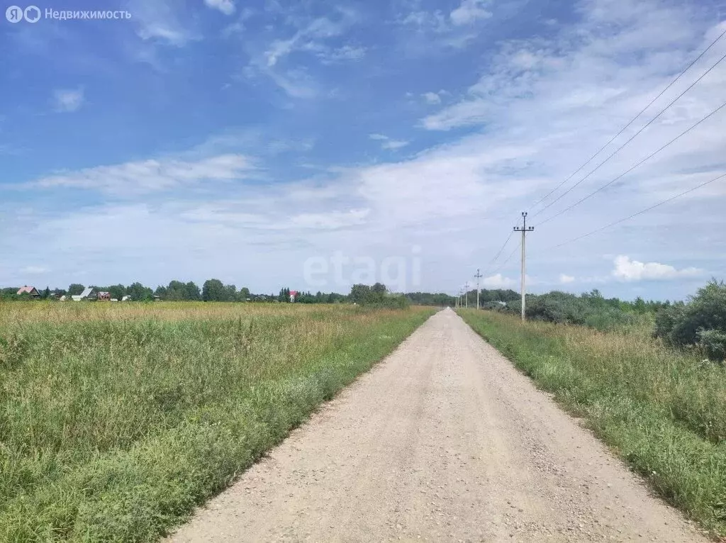 Участок в Новосибирский район, Морской сельсовет, село Ленинское (10 ... - Фото 0