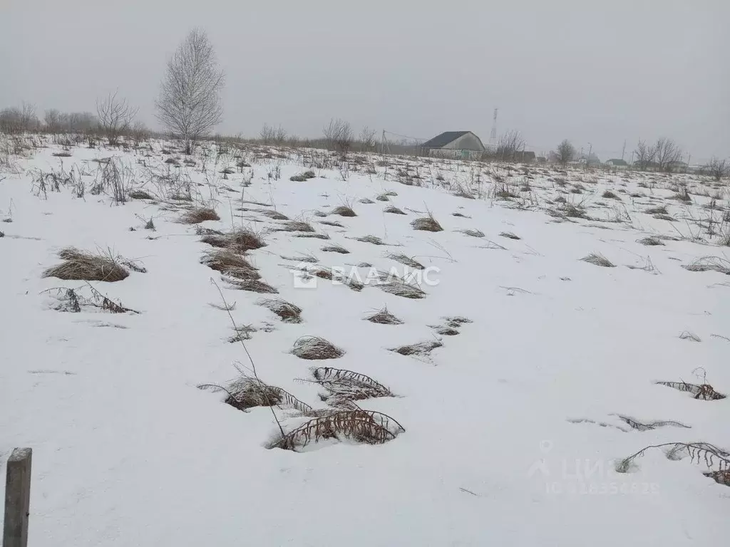 Участок в Пензенская область, Бессоновский район, с. Грабово Лесная ... - Фото 0