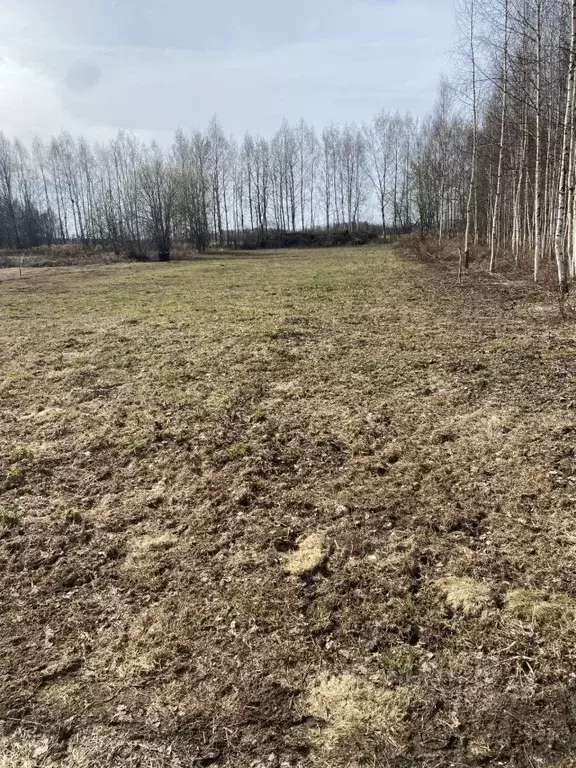Участок в Нижегородская область, Городецкий муниципальный округ, с. ... - Фото 0