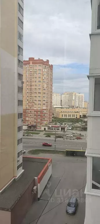1-к кв. Липецкая область, Липецк ул. И.В. Свиридова, 22к2 (35.0 м) - Фото 1