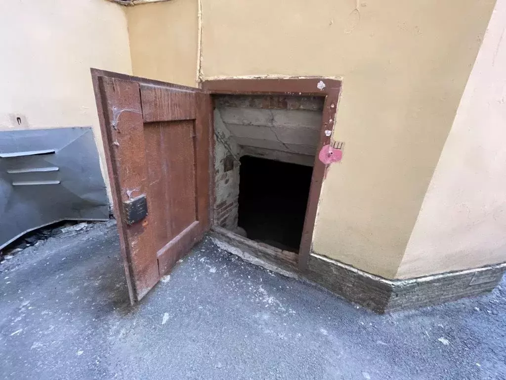 Помещение свободного назначения в Санкт-Петербург Вознесенский просп., ... - Фото 2