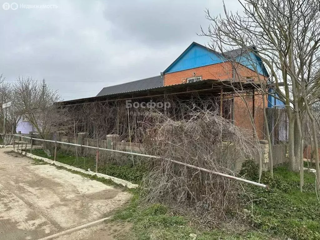 Торговая площадь (350 м) - Фото 1