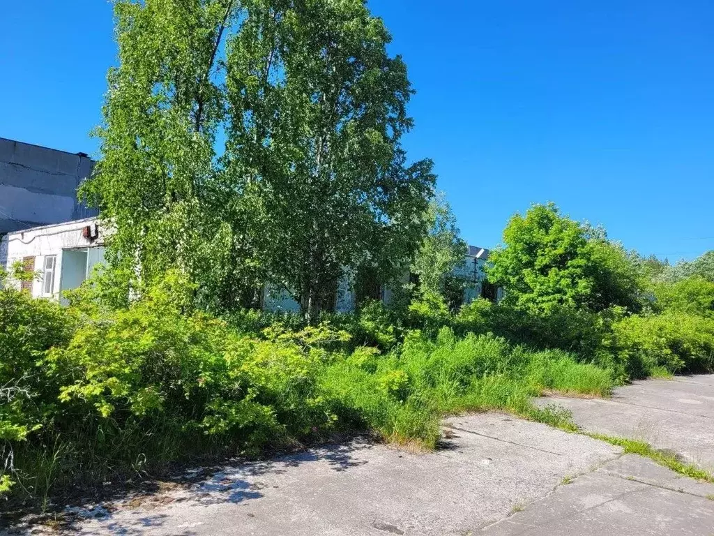 Производственное помещение в Мурманская область, Кандалакша Восточная ... - Фото 1