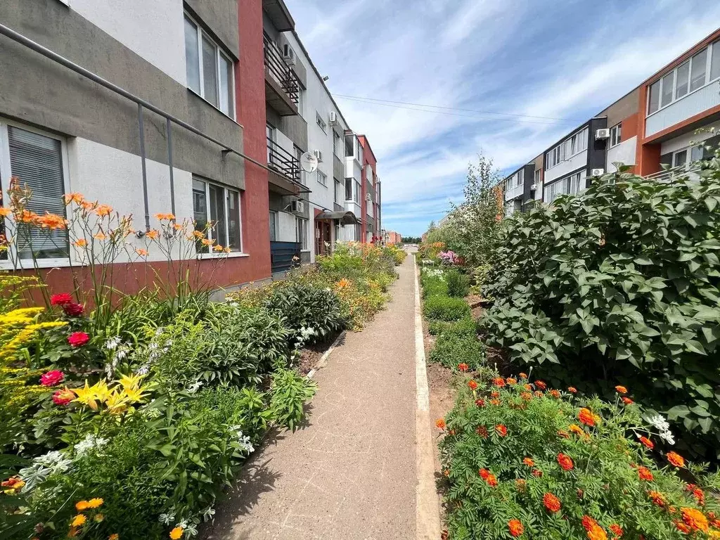 1-к кв. Оренбургская область, Оренбургский район, с. Нежинка ул. ... - Фото 1