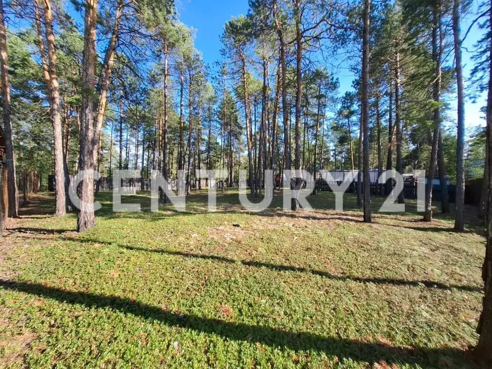 Участок, 7 сот., сельхоз (снт или днп) - Фото 1