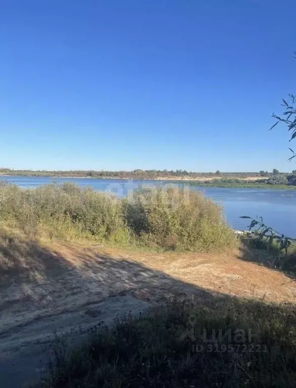 Участок в Владимирская область, Меленковский муниципальный округ, д. ... - Фото 1