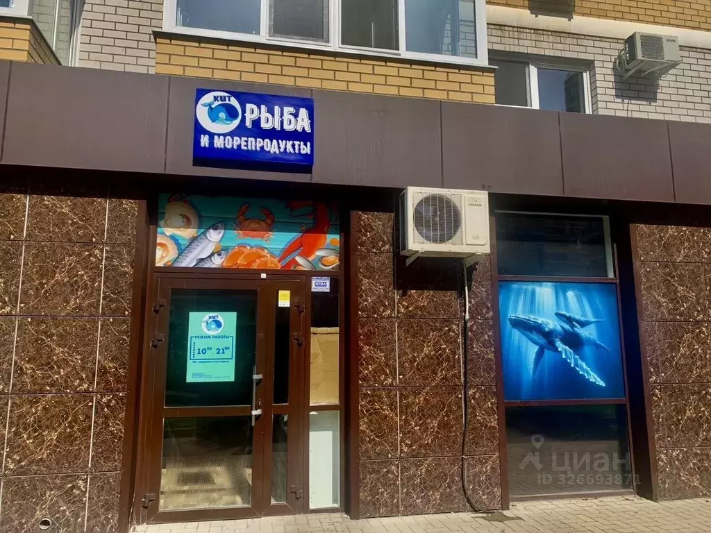 Помещение свободного назначения в Краснодарский край, Краснодар ул. ... - Фото 1