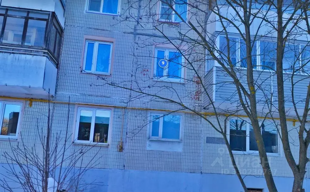 Свободной планировки кв. Московская область, Пушкино ул. 2-я ... - Фото 1