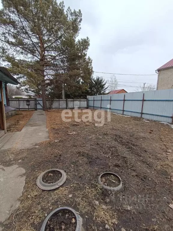 Дом в Амурская область, с. Тамбовка ул. Калининская, 126 (39 м) - Фото 0