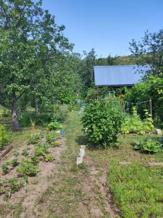 Участок в Нижегородская область, Нижний Новгород Дубрава СНТ, 102 (4.0 ... - Фото 1