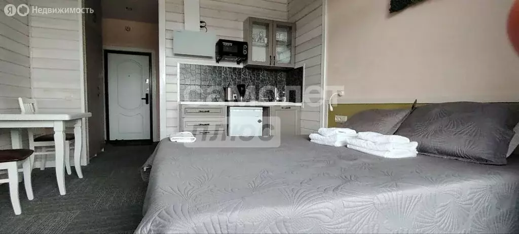 Квартира-студия: село Сыростан, улица Фёдора Конюхова, 5 (24 м) - Фото 0