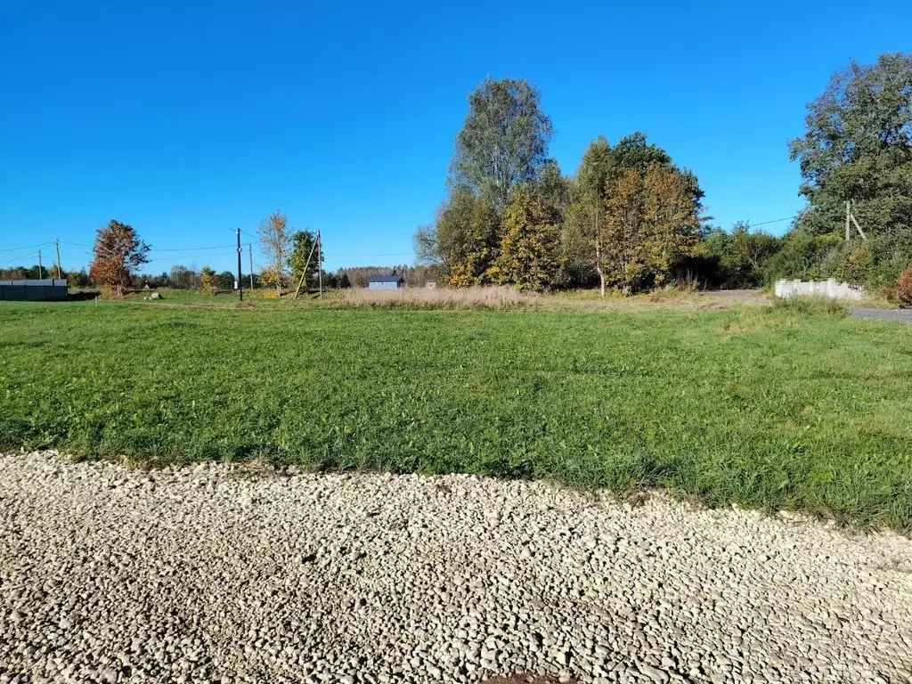 Участок в Ленинградская область, Гатчинский муниципальный округ, пос. ... - Фото 1