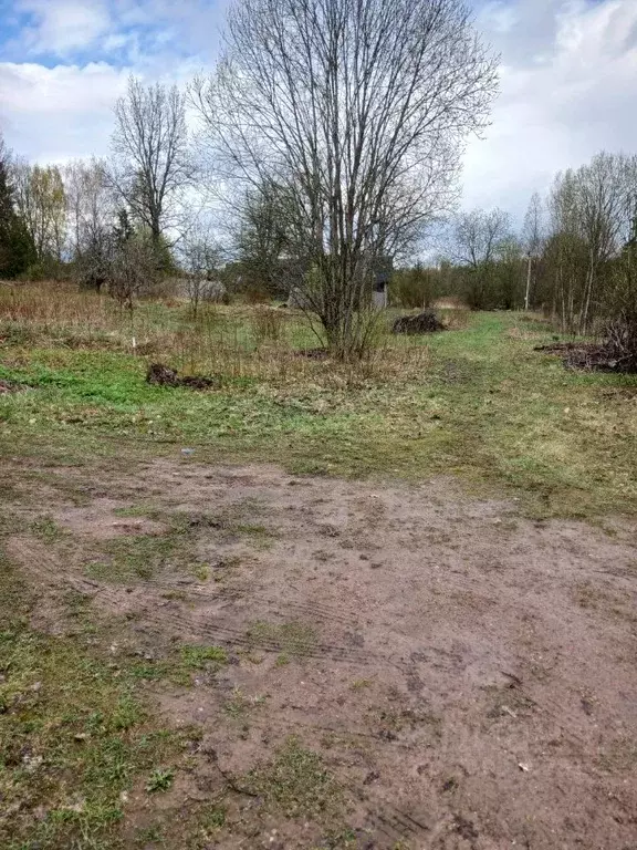 Участок в Новгородская область, Крестецкий муниципальный округ, д. ... - Фото 0