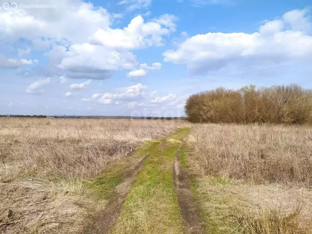 Участок в село Девица, КП Поречье-2 (10 м) - Фото 0