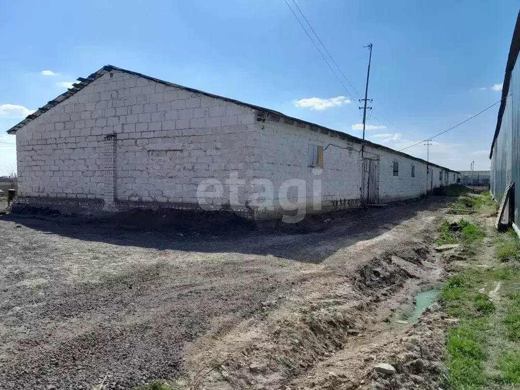 Склад в Белгородская область, Корочанский муниципальный округ, с. ... - Фото 1