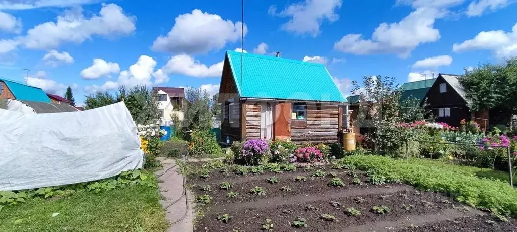 Дом в Новосибирская область, Мошковский район, Восток СНТ  (40 м) - Фото 1