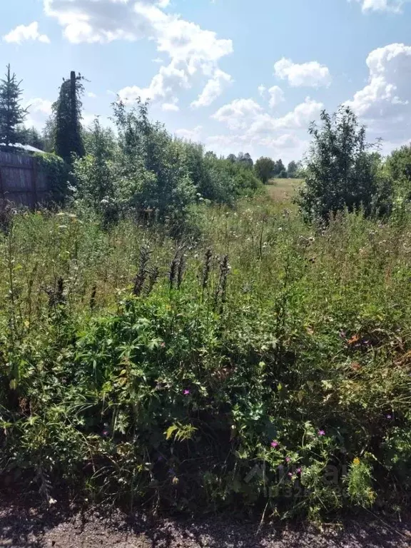 Участок в Владимирская область, Александровский муниципальный округ, ... - Фото 1