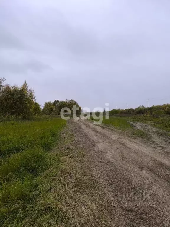 Участок в Ханты-Мансийский АО, Ханты-Мансийского муниципального района ... - Фото 1