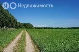 Участок в деревня Дубровка, улица Пушкина (10.2 м) - Фото 1