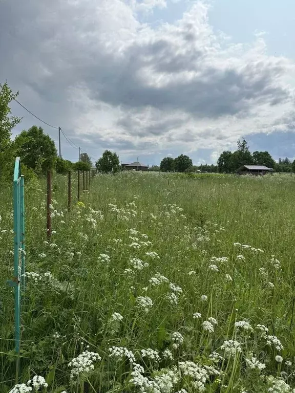 Участок в Ленинградская область, Волосовский район, Большеврудское ... - Фото 1