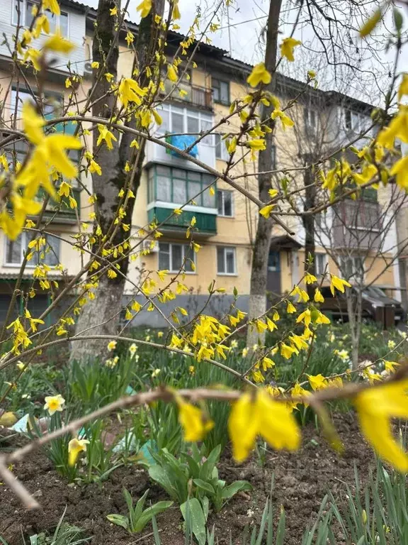 2-к кв. Крым, Бахчисарай ул. Фрунзе, 95 (43.0 м) - Фото 0