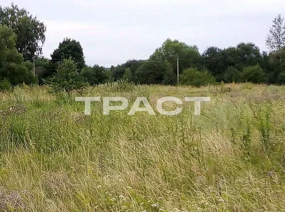 Участок в Липецкая область, Усманский район, Студенский сельсовет, д. ... - Фото 1