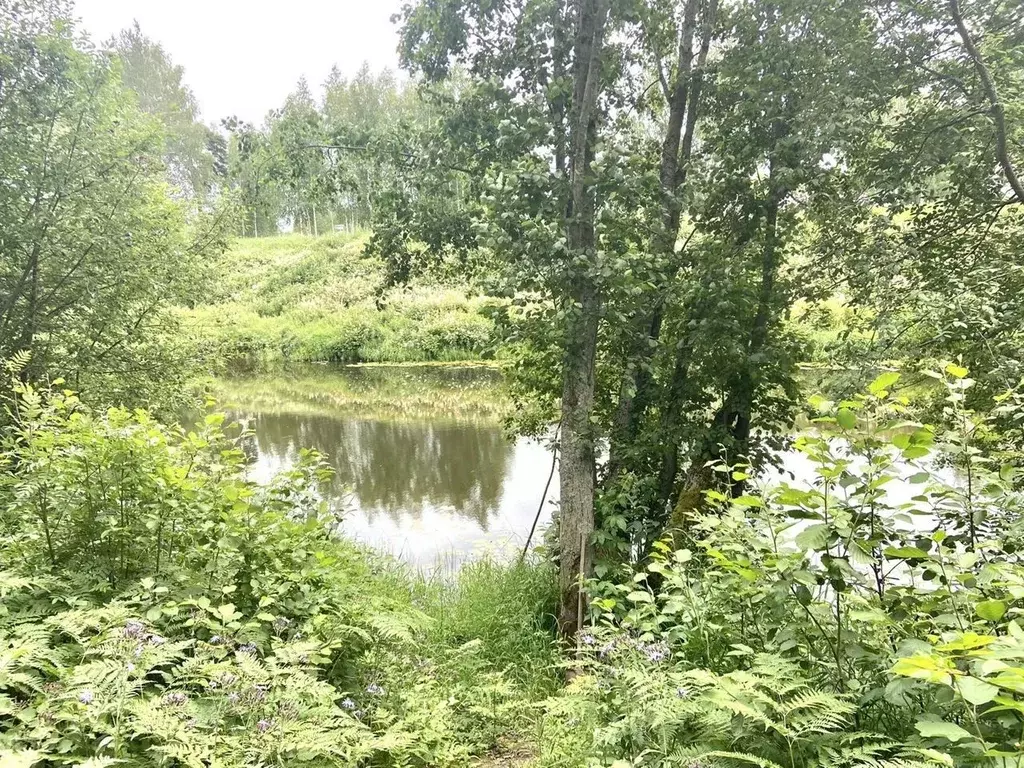 Дом в Ленинградская область, Бокситогорский район, Большедворское ... - Фото 1