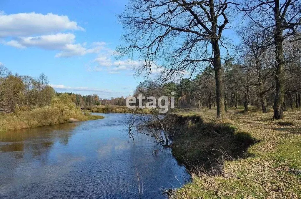Участок в Владимирская область, Петушинский муниципальный округ, Берег ... - Фото 2