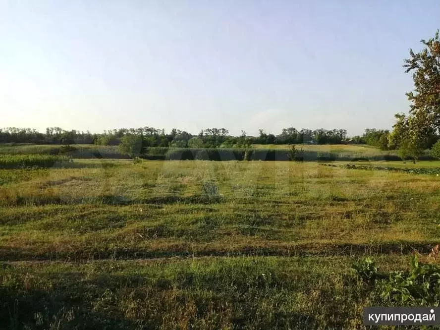 Участок 4,9 сот. (ИЖС) - Фото 0
