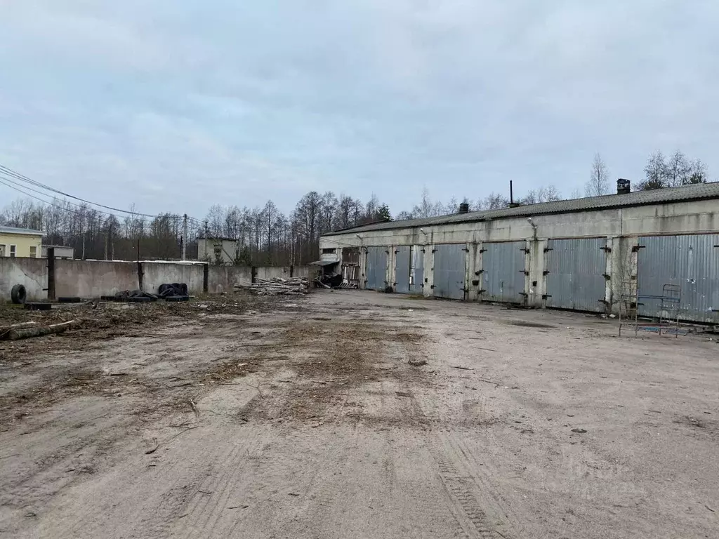 Помещение свободного назначения в Ленинградская область, Приозерск ... - Фото 1