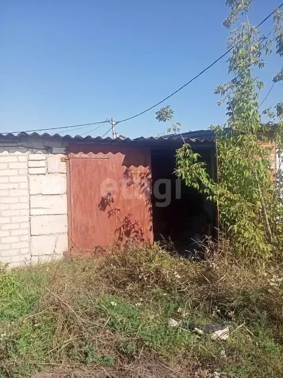 Помещение свободного назначения в Белгородская область, Вейделевка рп ... - Фото 1