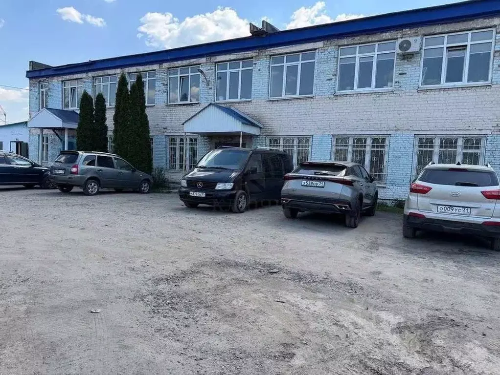 Торговая площадь в Белгородская область, Белгород Рабочая ул., 2 (1000 ... - Фото 2