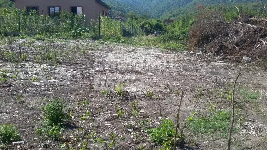 Участок в Краснодарский край, Туапсинский муниципальный округ, с. ... - Фото 2