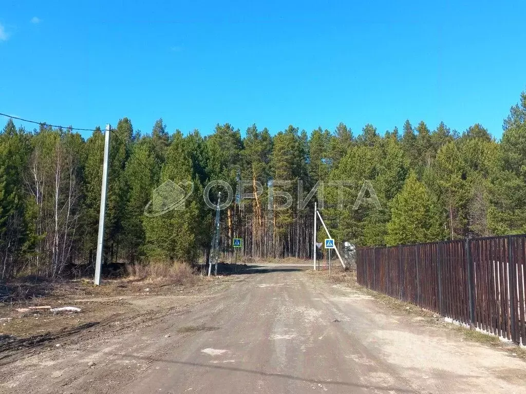 Участок в Тюменская область, Нижнетавдинский район, с. Тюнево ул. ... - Фото 0