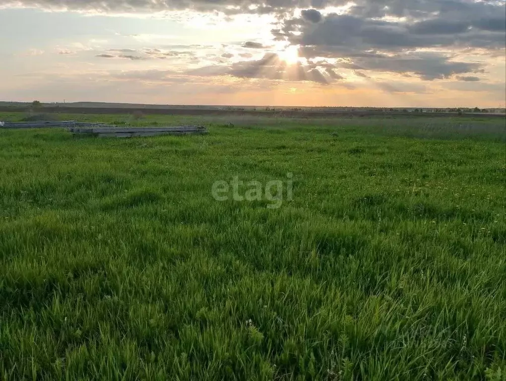 Участок в Томская область, Томский район, Стрижи СНТ ул. Магистральная ... - Фото 0