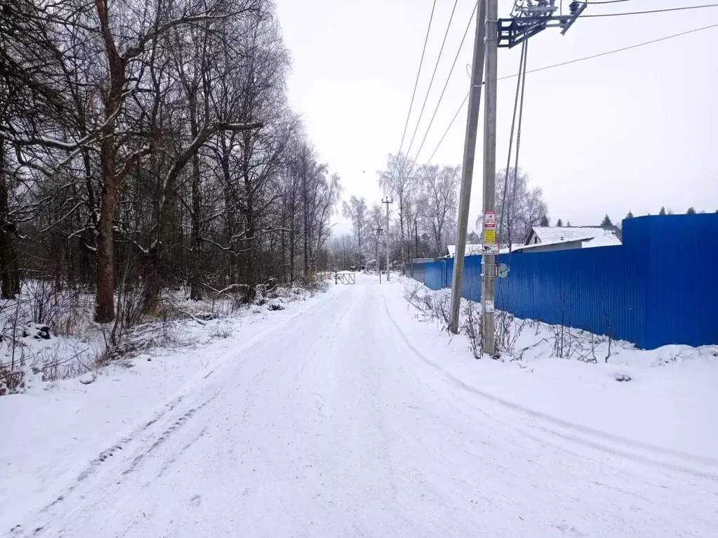 Участок в Ленинградская область, Всеволожский район, Романовское ... - Фото 0