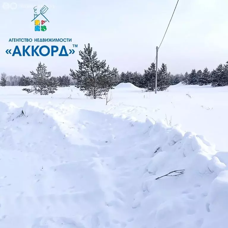 Участок в село Фирсово, микрорайон Рощино, улица Суворова (8 м) - Фото 2