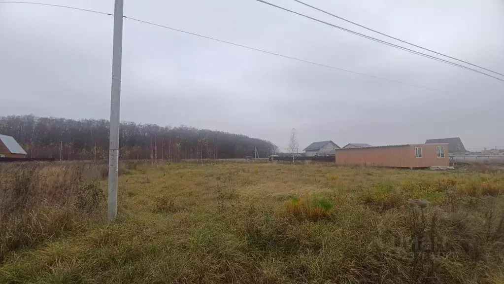 Участок в Московская область, Ступино городской округ, д. Дубнево ул. ... - Фото 2