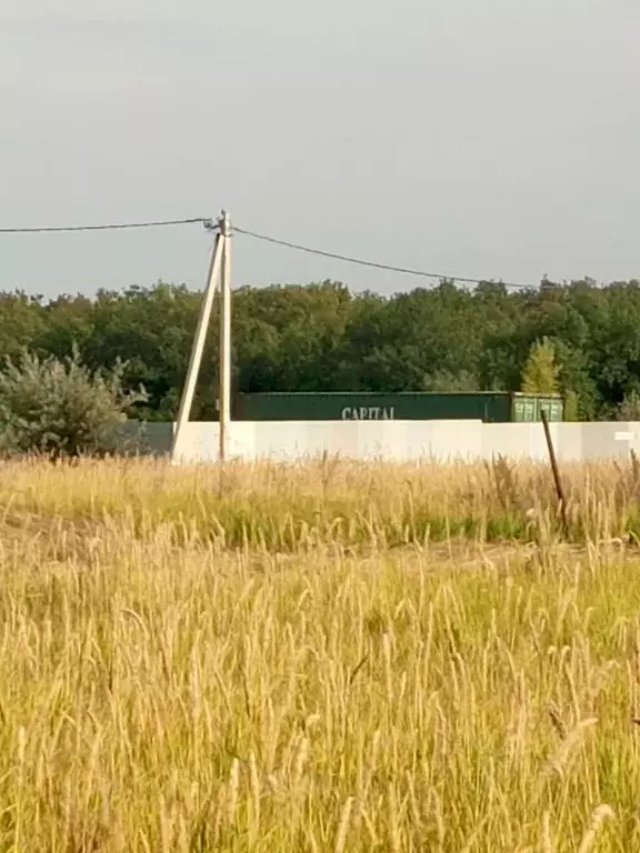 Участок в Самарская область, Волжский район, Воскресенка с/пос, пос. ... - Фото 2