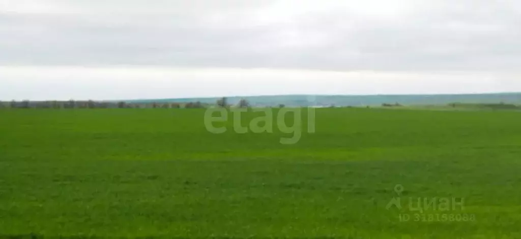 Участок в Крым, Ленинский район, Семисотское с/пос, с. Каменское ул. ... - Фото 1