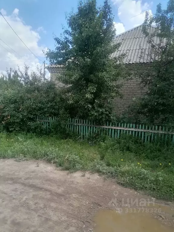Дом в Саратовская область, Новоузенск пер. Никитинский (92 м) - Фото 1