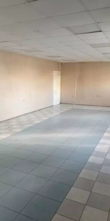 Помещение свободного назначения в Москва пос. Знамя Октября, 31с4 (300 ... - Фото 2