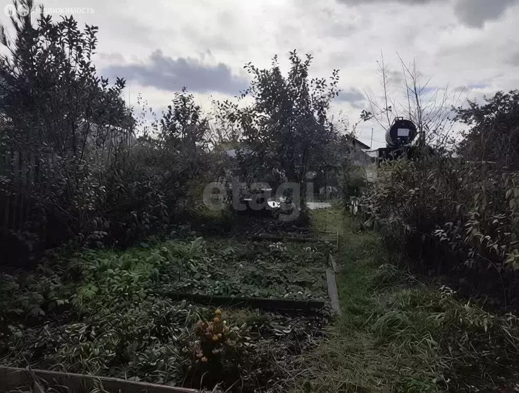 Дом в Красноярск, СНТ Алюминий, Мичуринская улица (37.4 м) - Фото 1