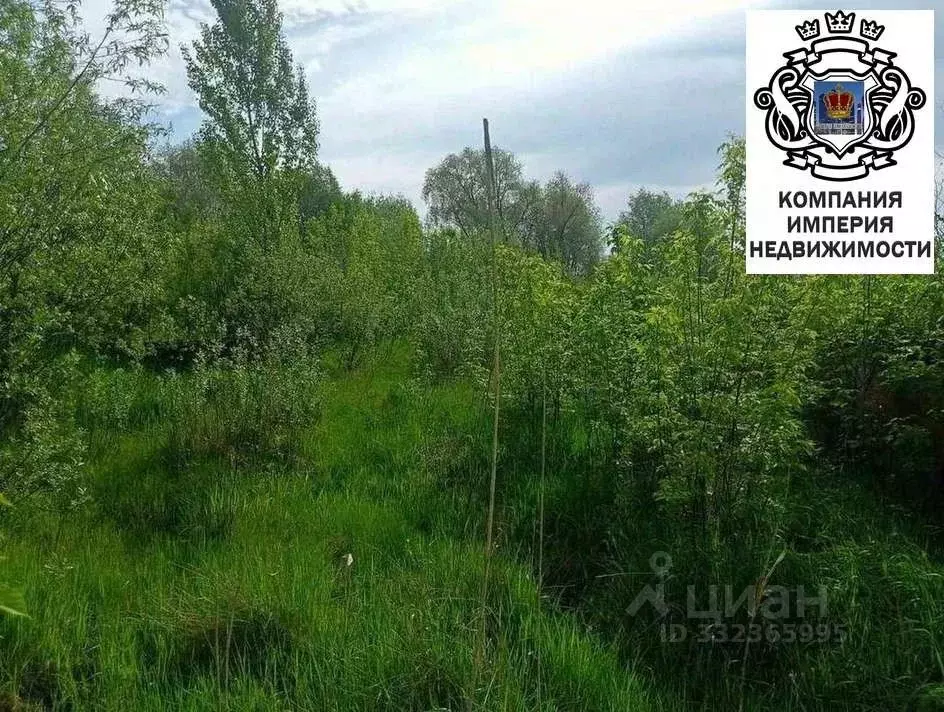 Участок в Белгородская область, Шебекинский муниципальный округ, с. ... - Фото 2