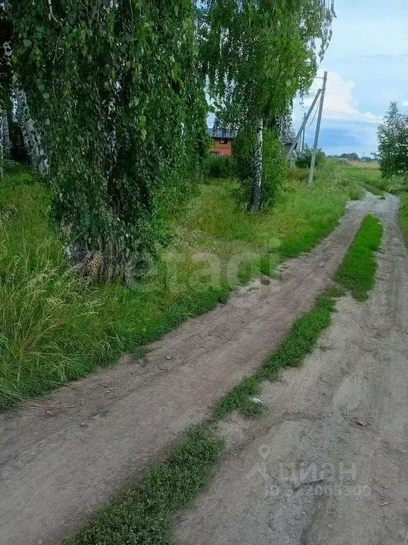 Участок в Новосибирская область, Новосибирский район, Морской ... - Фото 1
