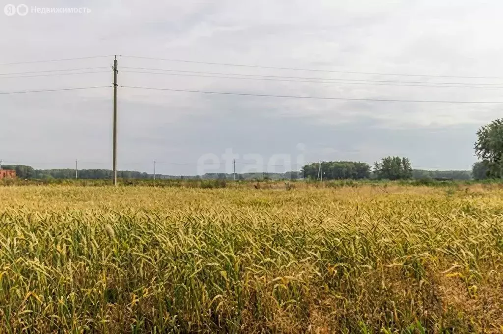 Участок в муниципальный округ Омский район, посёлок Омский (10 м) - Фото 2