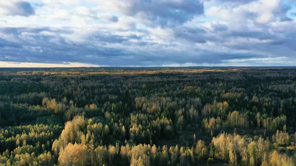 Участок в Тверская область, Селижаровский муниципальный округ, д. ... - Фото 0