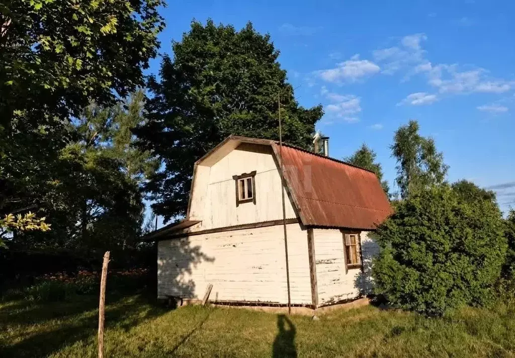 Дом в Псковская область, Островский муниципальный округ, д. Свеклино  ... - Фото 2