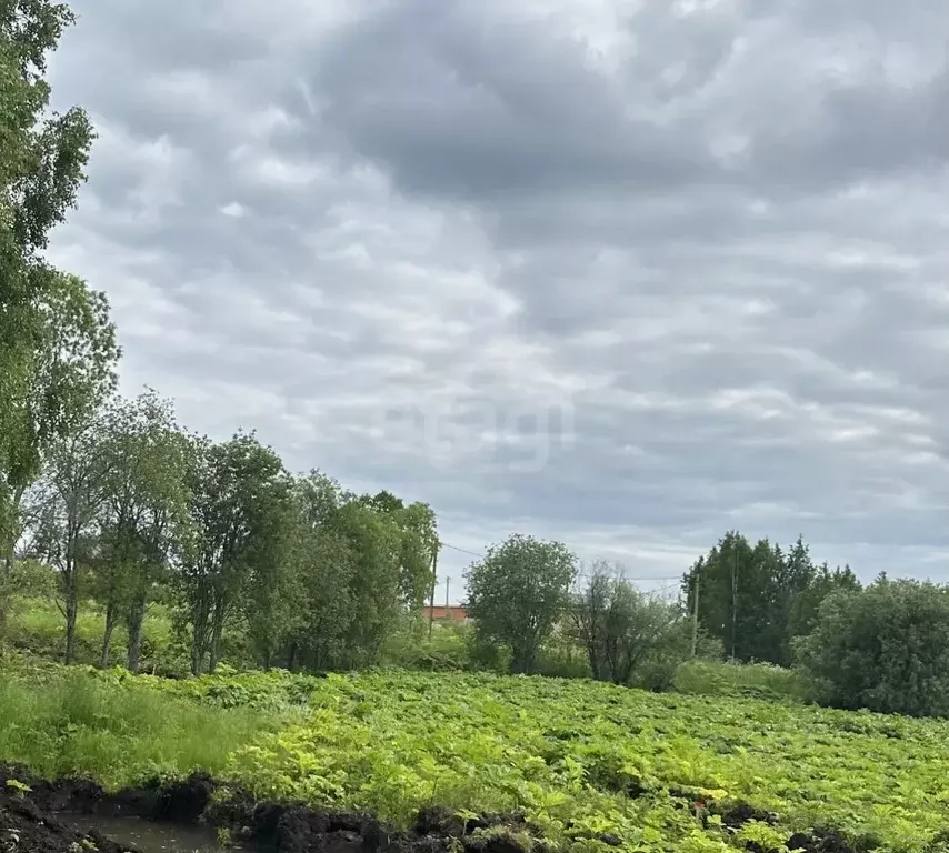 Участок в Коми, Сыктывкар проезд Юго-Западный, 352 (9.2 сот.) - Фото 2