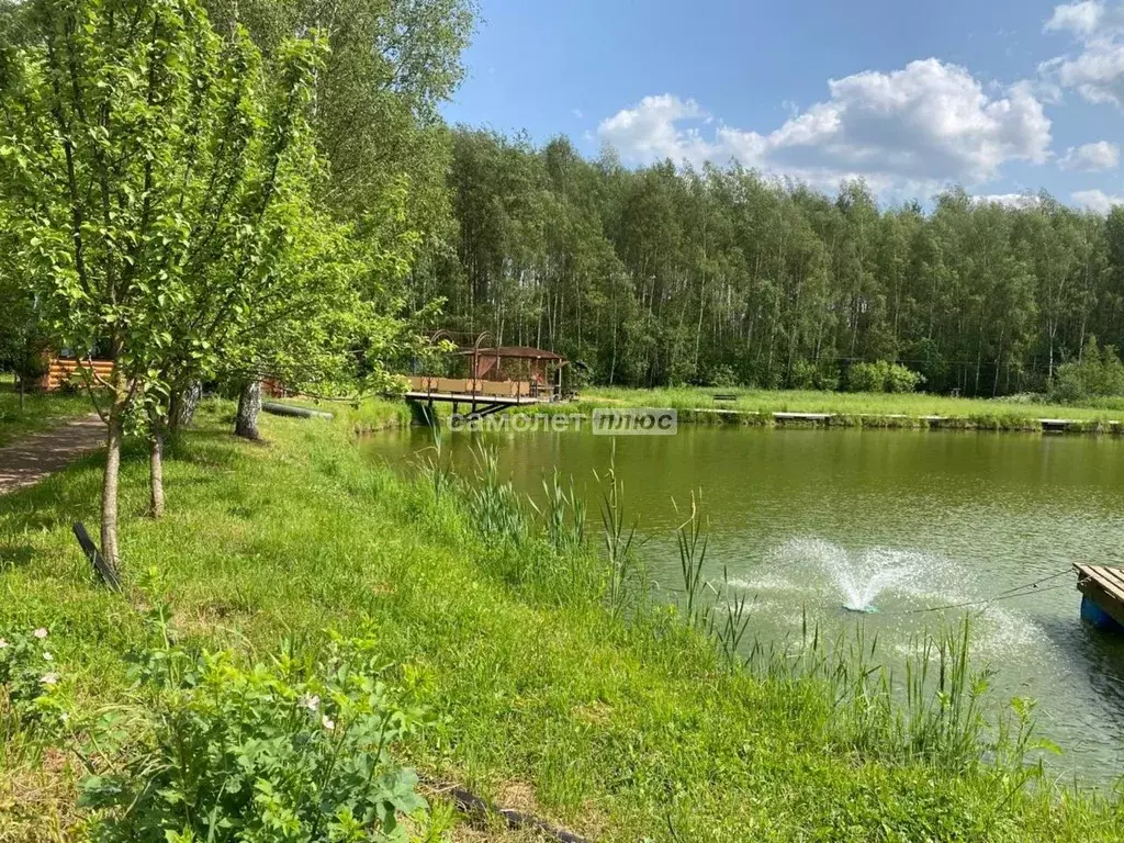 Участок в Московская область, Богородский городской округ, Новое ... - Фото 1